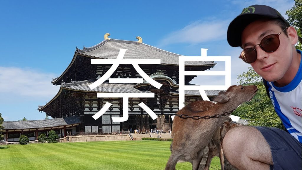 WHY ARE THERE SO MANY DEER?! - Japan Travel Vlog!