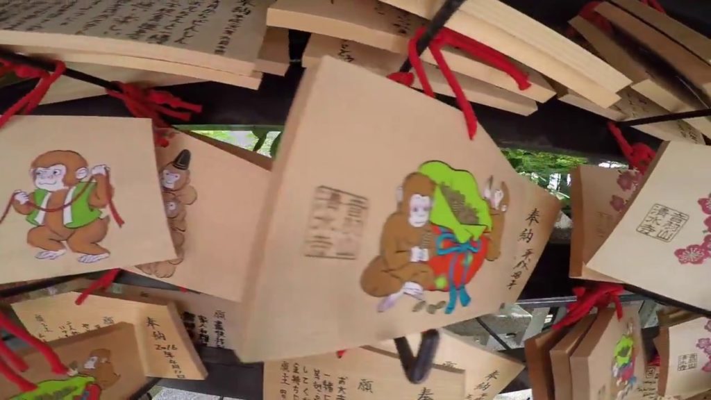 Kyoto & Nara Tourist Highlights - Japan Travel Vlog, Wild Deer, and the Tuatara Man!!