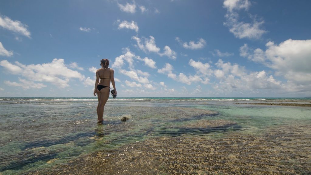 Explorando Okinawa - VERÃO 2015 - Dois de Nós Tokyo