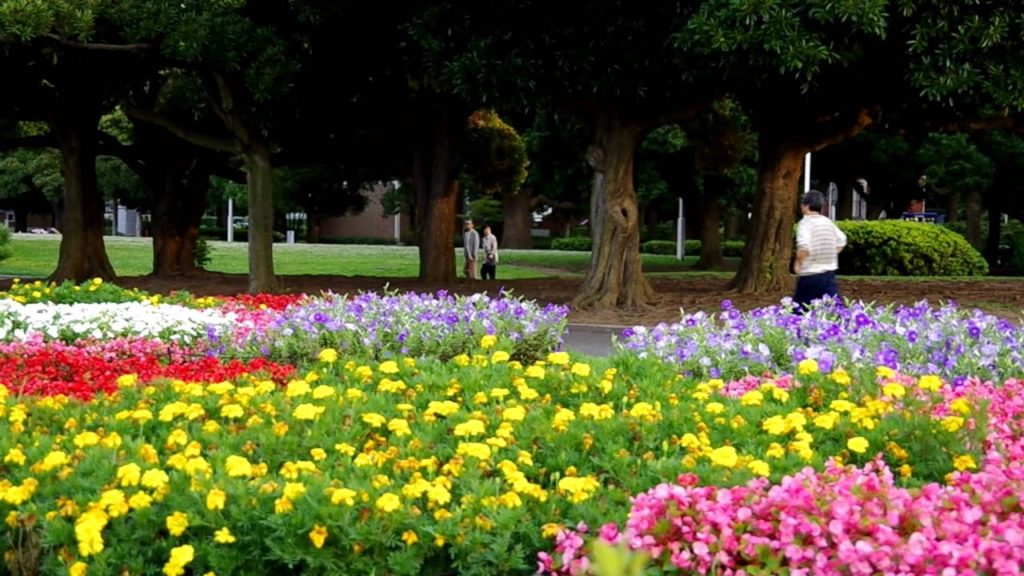 Enjoy Yokohama Day & Night