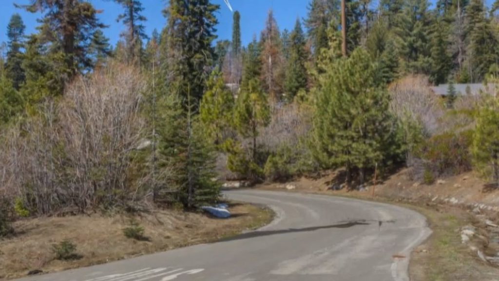 Fake tree: Sequoia National Park OKs new cell phone tower