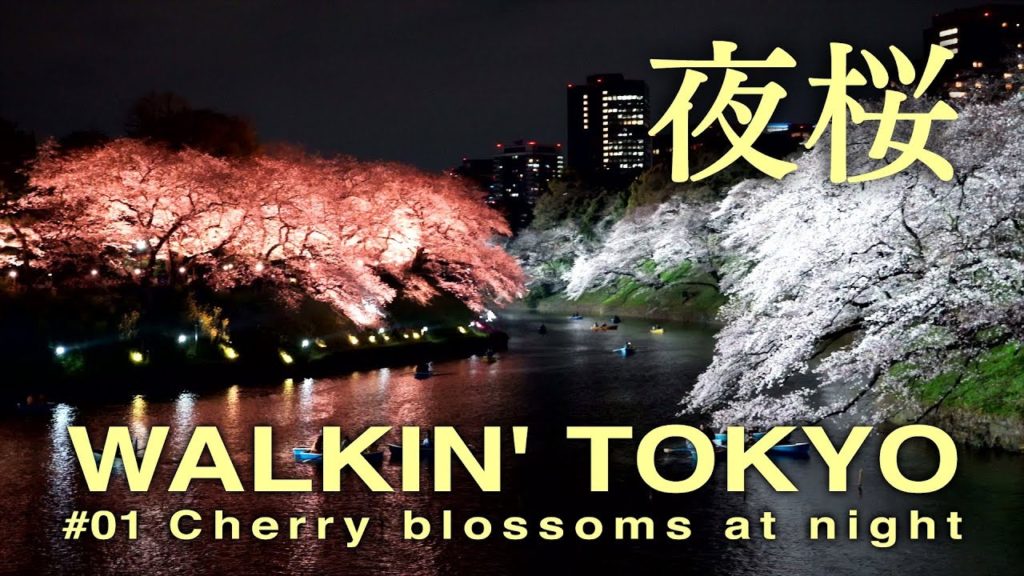 ▶Cherry blossoms at night ▶平成最後の桜 東京 夜桜 WALKIN' TOKYO JAPAN 千鳥ヶ淵 目黒川 六本木 浅草 隅田川 2019