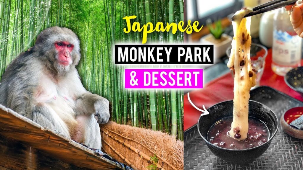JAPANESE MONKEY PARK & BAMBOO FOREST in Kyoto