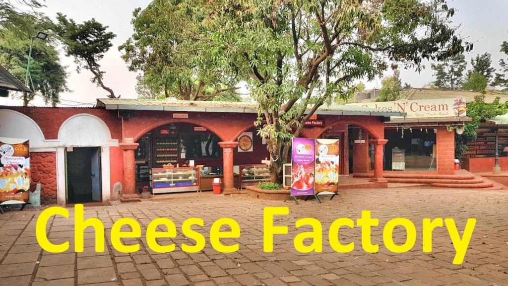 Pure Gold Cheese Factory Panchgani