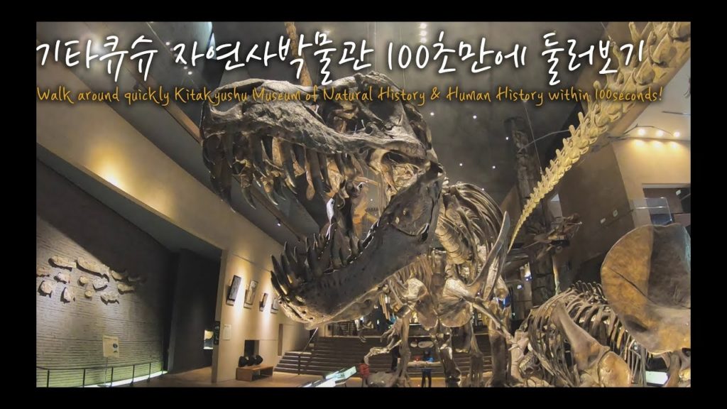 기타큐슈 자연사 박물관 100초만에 둘러보기