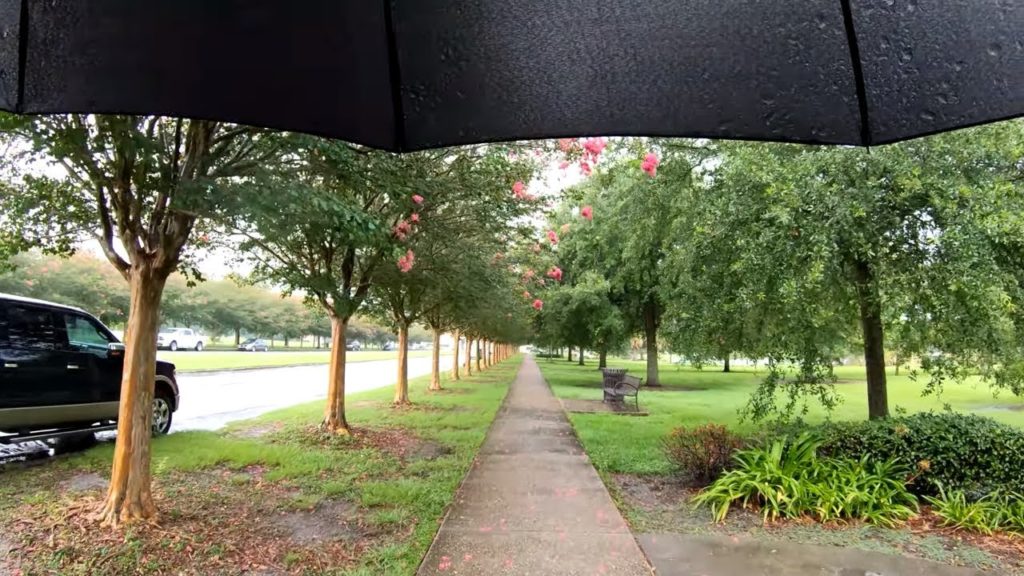 ⁴ᴷ⁶⁰ Walking New Orleans : City Park in the Rain (Museum of Art, Cafe Du Monde, Storyland)