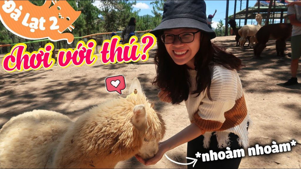 Đà Lạt - Cho Ăn, Sờ & Chơi Với Thú Ở Vườn Thú Kangaroo Kiểu Úc - ZooDoo | Tố đây!