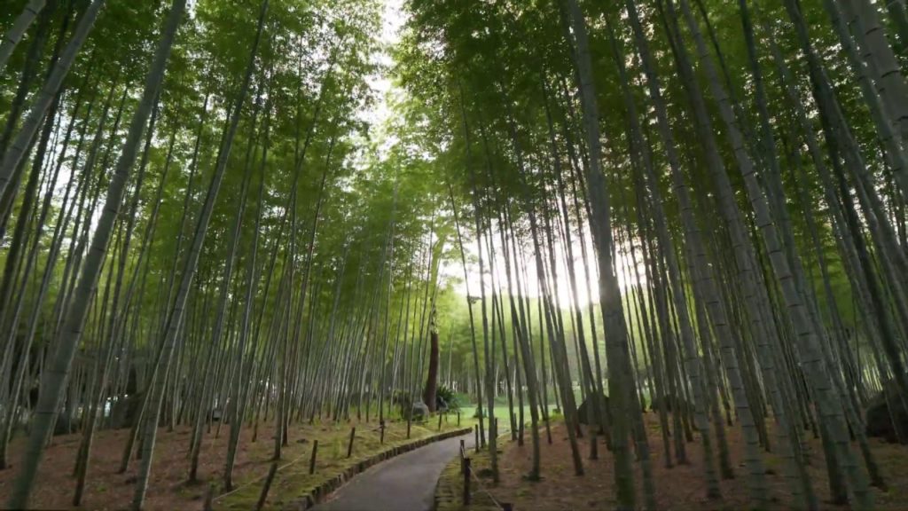 【4K】Walking in evening Beppu