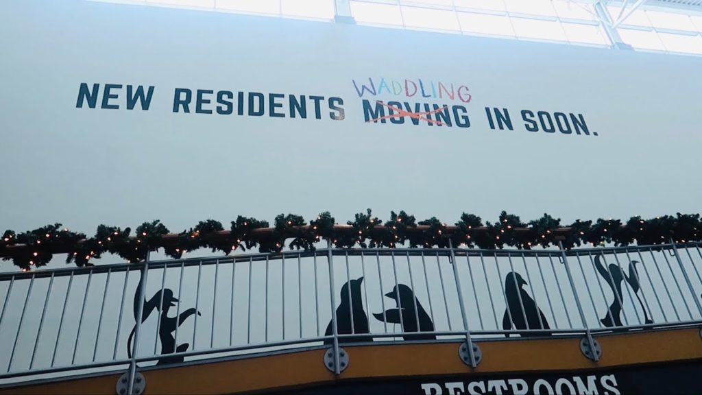 Ripley's Aquarium Penguins Exhibit Interior Update - Myrtle Beach, SC