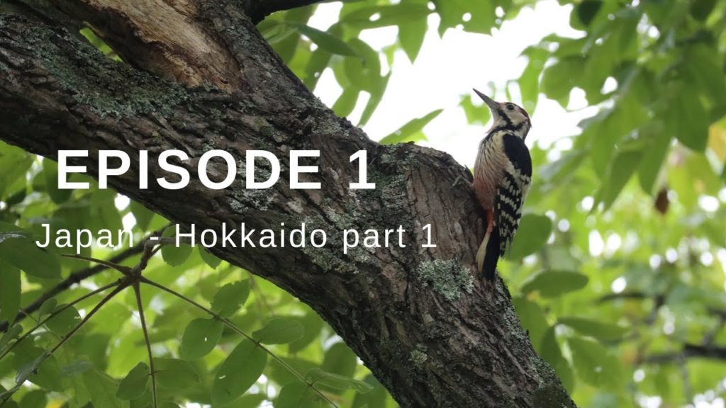 Episode 1 - Beginning our cycle tour in Hokkaido, Japan. | On a Wild Ride
