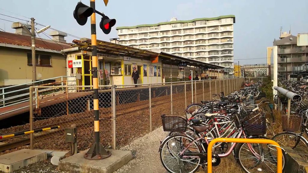 Cute and Old Kagoshima Local Trains! Transportation of Trip! Let's count! How many compartments...?