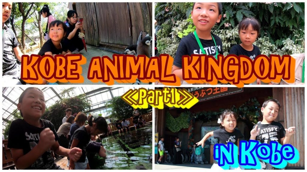 ★JAPANESE KIDS PLAY★Japanese zoo in Kobe(Kobe Animal Kingdom) with English subtitles