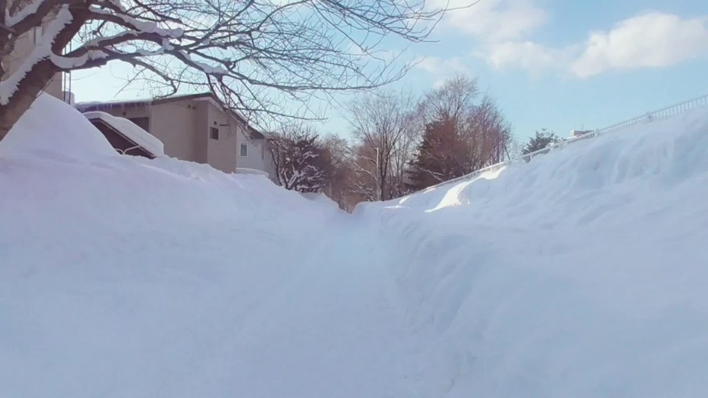 Sapporo Kokorodo 白石こころーど "Heart road"