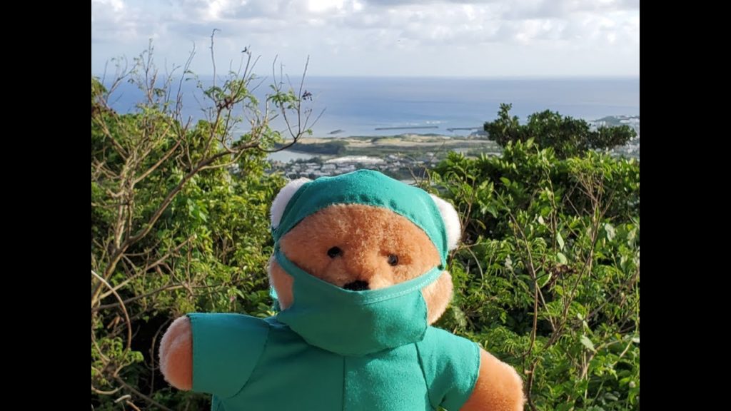 Walk Okinawa   along Gusuku Road in Tamagusuku   Apr 17, 2019