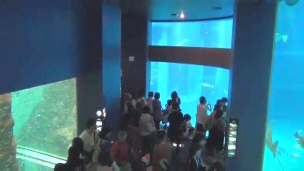 23 Florian auf Tour - Osaka 2.7 - Aquarium