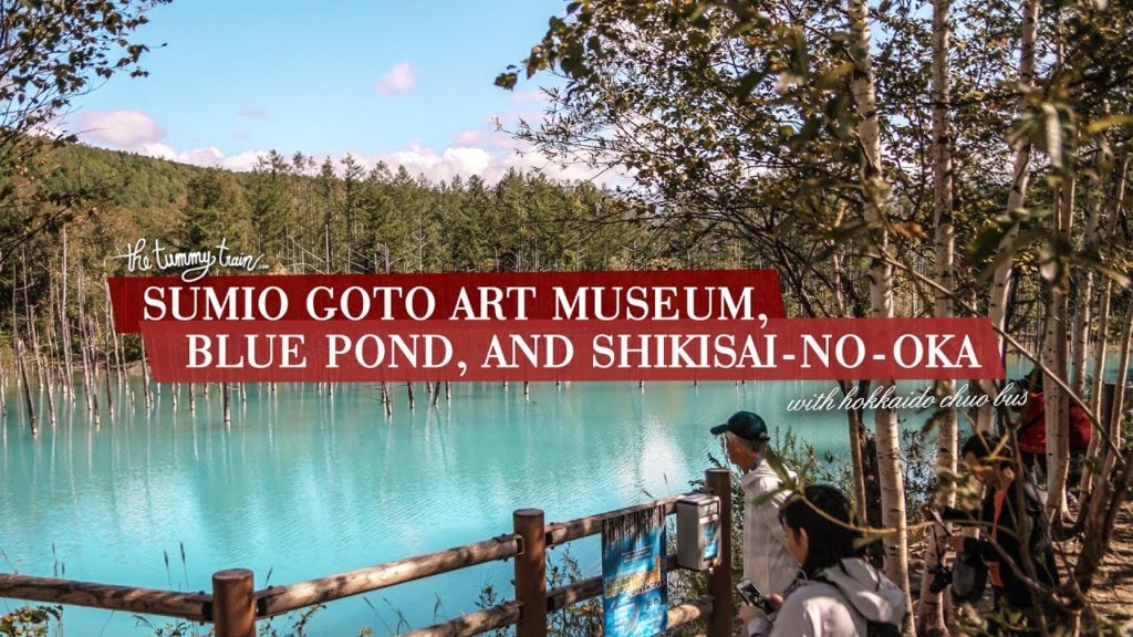 Sumio Goto Art Museum, Blue Pond, Shikisai No Oka with CHUO BUS | The Tummy Train