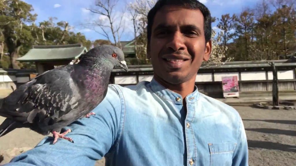 Tokyo Tales (Japan) | Travel Video - Shot by iPhone 7 Plus