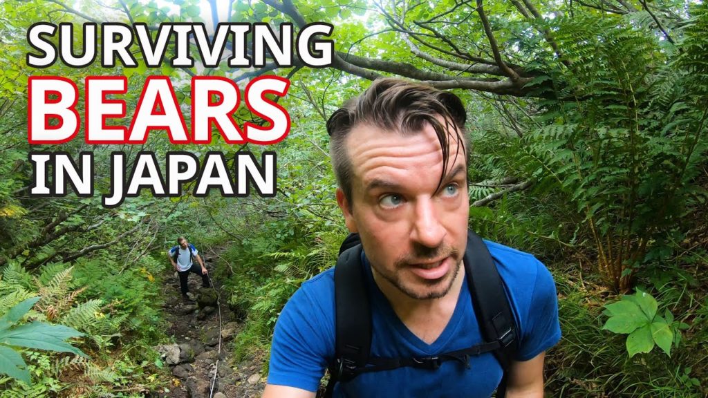 How to Protect yourself from Japanese Bears