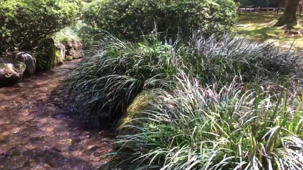 Kenrokuen Garden, Kanazawa, Japan, the 21st of April 2018