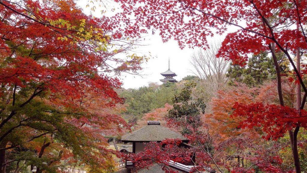 2018 晩秋の横浜三渓園(4K) Yokohama Sankeien Garden In Late Autumn(UHD)