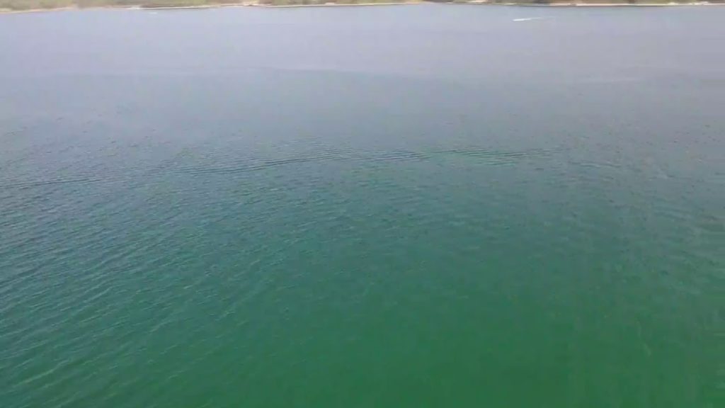 【Live】Walking at Amano-hashidate