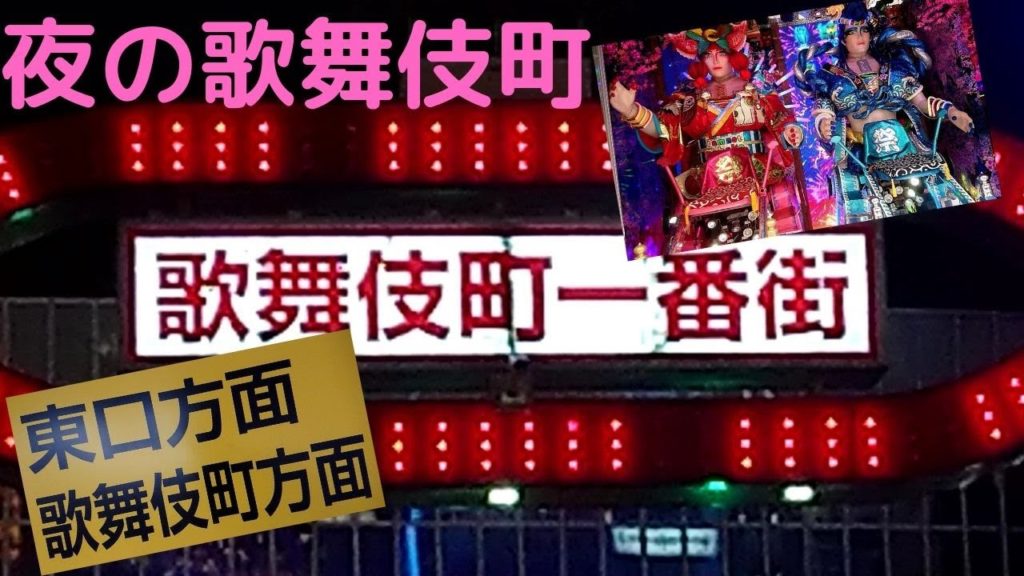 【夜の新宿歌舞伎町】散歩動画Shinjuku,Kabukicho,Travel,Tokyo,Guide