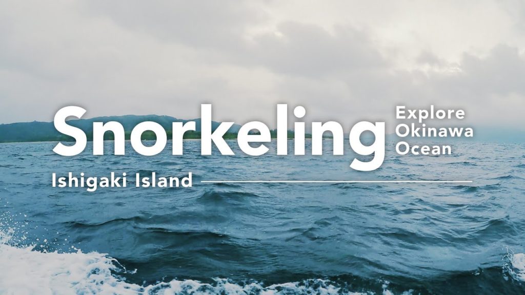 Explore Okinawa Ocean: Snorkeling