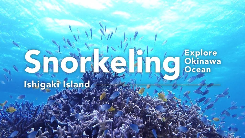 Explore Okinawa Ocean: Snorkeling interview2