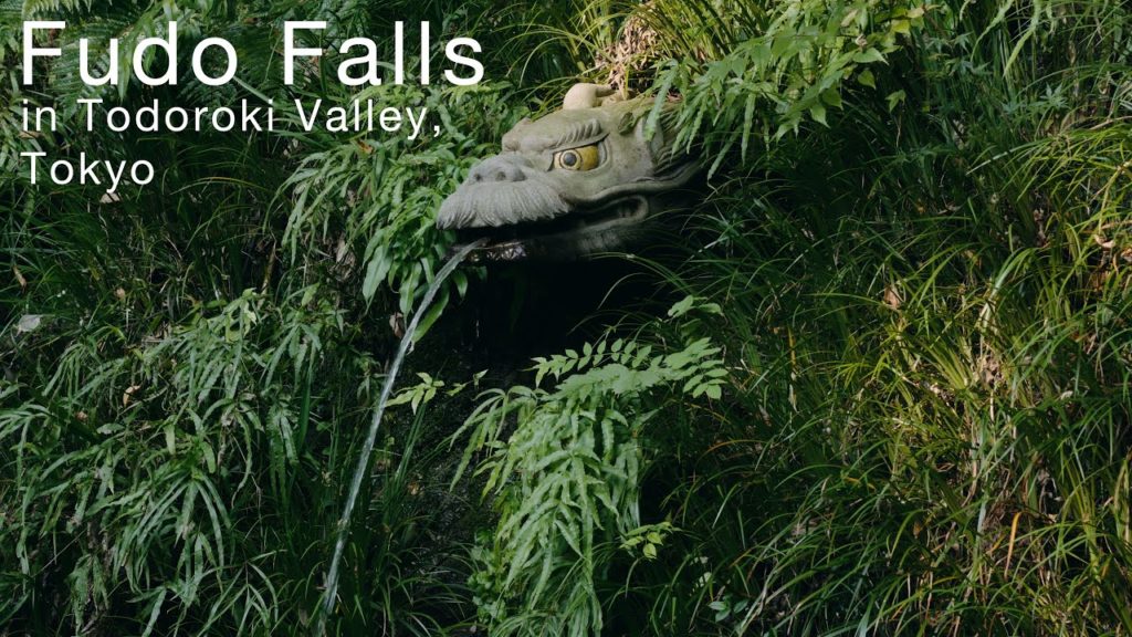 Fudo falls in Todoroki Valley, Tokyo /small falls/ 不動の滝-等々力渓谷 - A cinematic travel short video