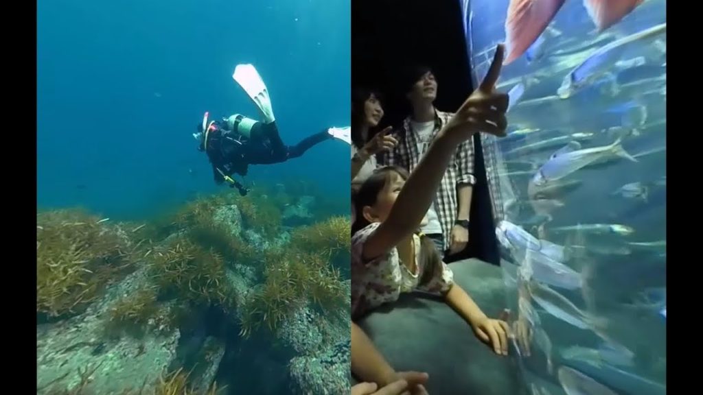 360° CHUGOKU+SHIKOKUxTOKYO - Digest A / CHUGOKU