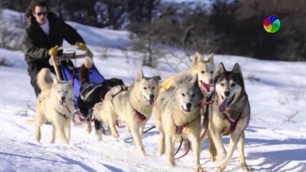 Ushuaia with Los Cauquenes Resort & Spa