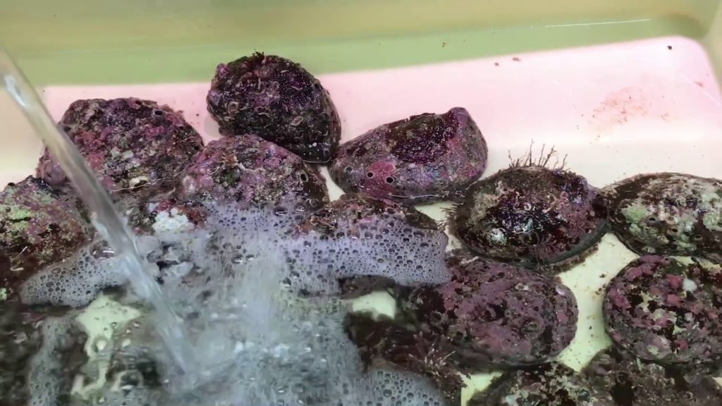 Shiraoi Takeura fish market Hokkaido Japan