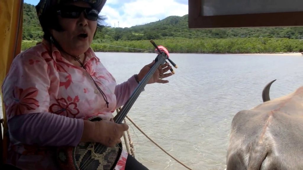 Yubu Island singer, driver of water buffalo cart Iriemote Okinawa Japan