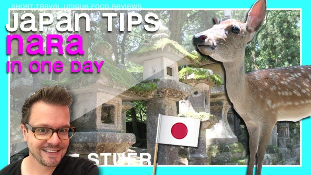 NARA ONE DAY TRIP - Bowing Deer Japan [ Nara day trip from Kyoto ] Kawaii Deer