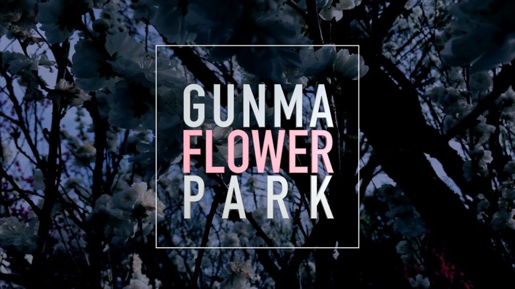 Gunma Flower Park, JAPAN (4K ULTRA HD)