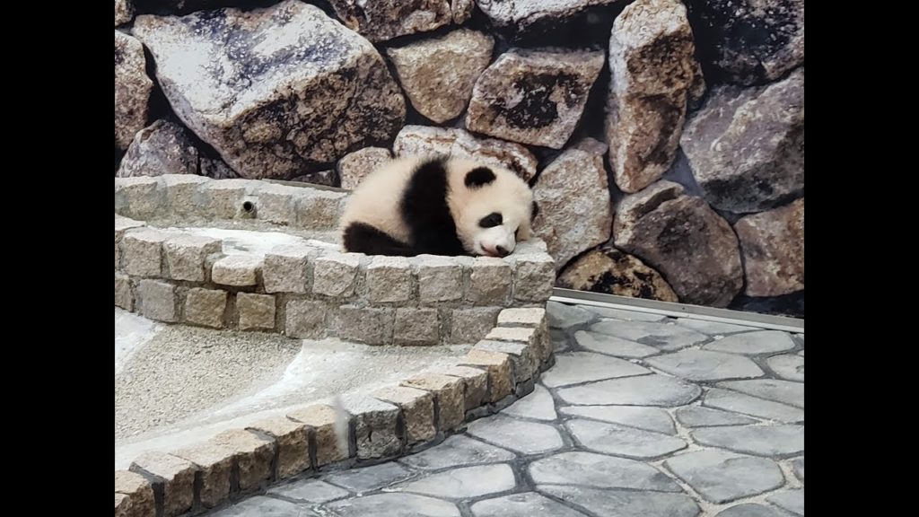 Adventure World Japan Adventure World Japan