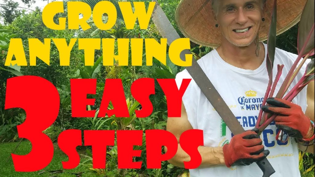 Grow a Tropical Garden 3 EASY STEPS Must See Grow a Tropical Garden 3 EASY STEPS Must See
