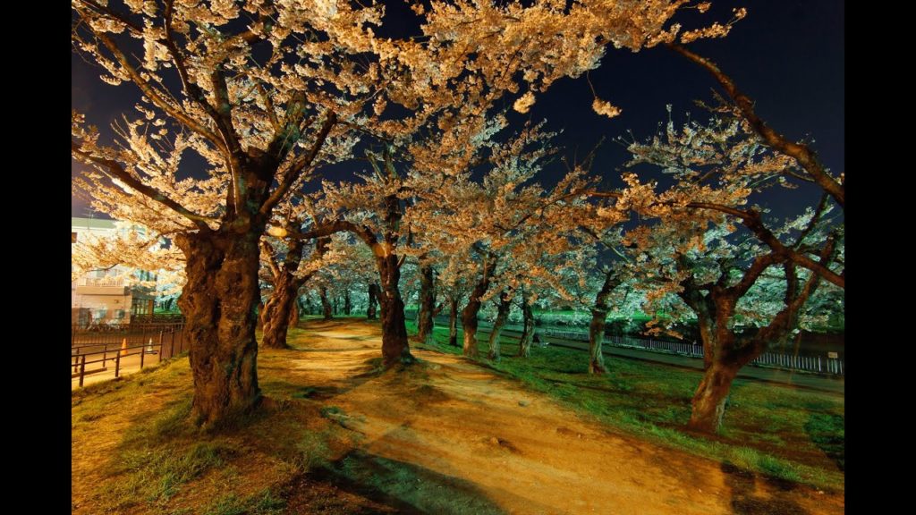 Goryokaku Fort in Hakodate
