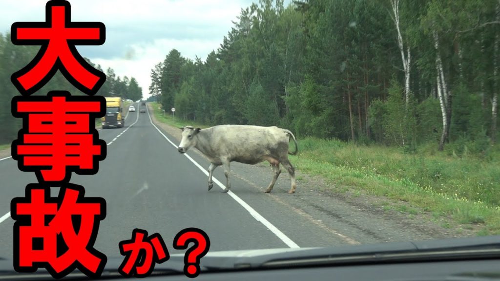 【車旅】30日間ロシア横断チャレンジ15日目