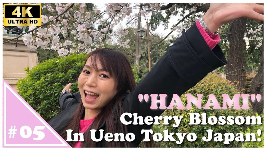 【Emyu's Japan Guide!】"HANAMI" Cherry Blossom  in Ueno Tokyo Japan! Vol.05