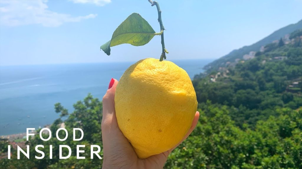 How Limoncello Is Made Using Huge Amalfi Coast Lemons | Regional Eats