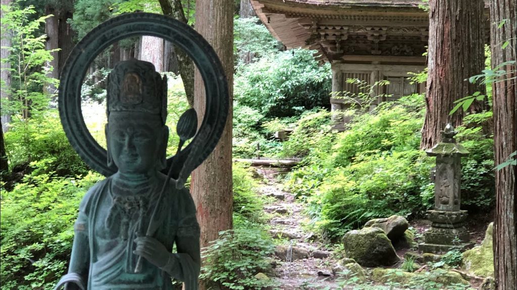 Glittering Moss @ Kozenji Temple
