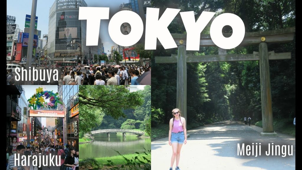 Japan Trip Part 2: Shibuya, Harajuku, Shinjuku Gyoen National Garden, Meiji Jingu,
