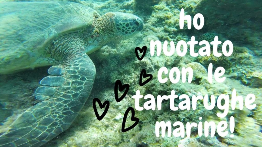 Viaggio per il Kyushu-mare, montagna, città