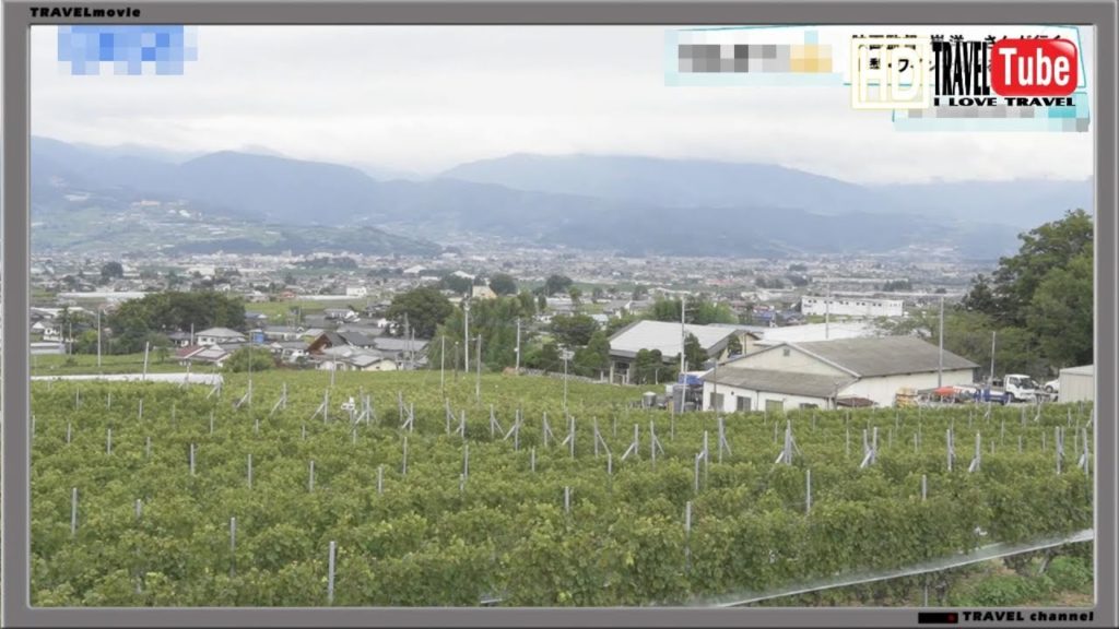 【旅】山梨県勝沼に行く前にチェック！ワイナリーでとことん遊ぶ情報2019　Check before going to Katsunuma, Yamanashi!Play at the winery