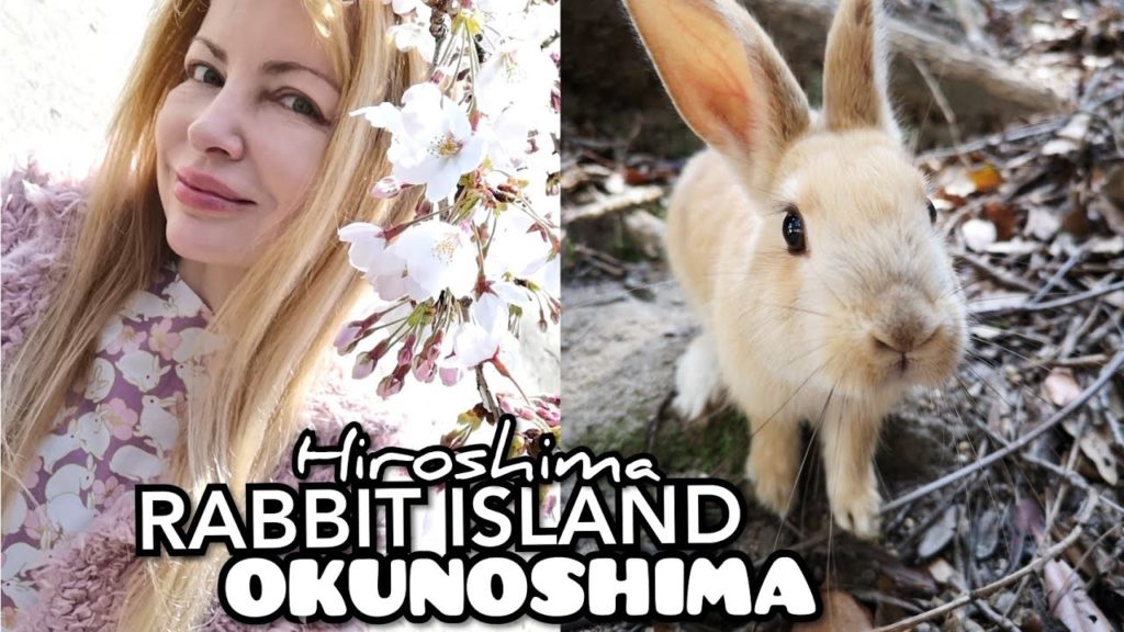 Adeyto 🐰🌴 RABBIT ISLAND OKUNOSHIMA Hiroshima 📽️ HUAWEI P20 PRO