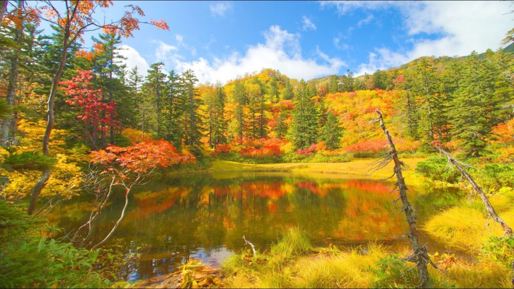 JG☆☆☆☆☆8K HDR 北海道 大雪高原の絶景紅葉 全沼一周トレッキング Hokkaido,Daisetsu Kogen in Autumn,Trekking All Ponds