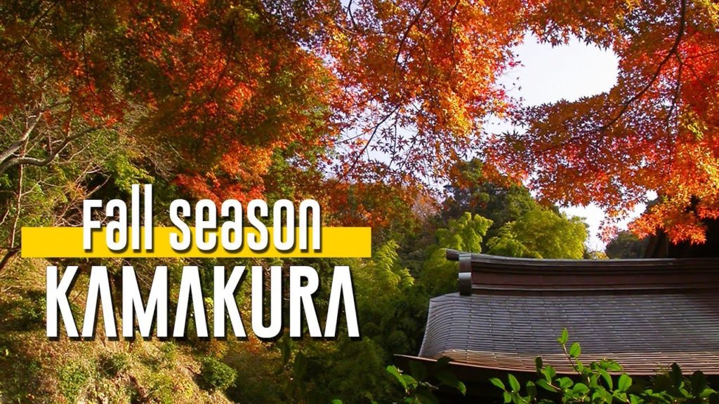 Fall Season in KAMAKURA Fall Season in KAMAKURA
