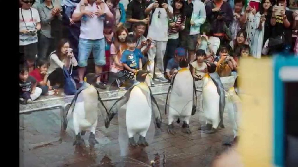 Travel with Film Camera to Hokkaido, Japan / 帶底片機遊北海道 (Nikon FG 35mm SLR)