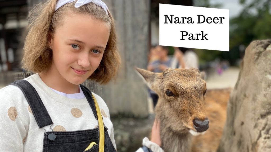 Nara Japan - Deer Park, Temples, Hotel by station